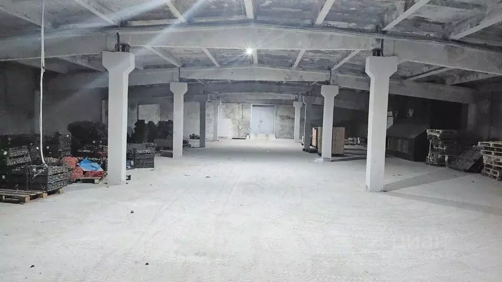 Склад в Владимирская область, Киржачский муниципальный округ, д. ... - Фото 1