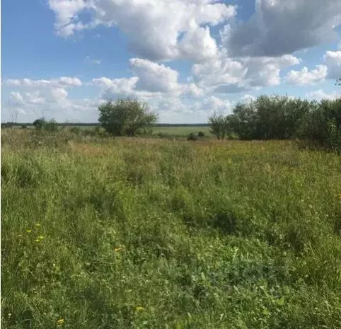 Участок в Московская область, Зарайск муниципальный округ, д. ... - Фото 1