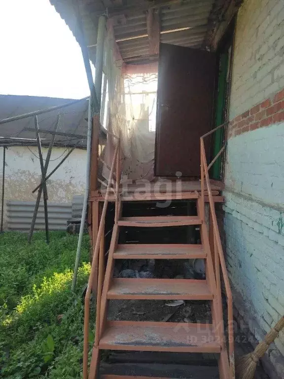 Дом в Белгородская область, Красногвардейский район, Никитовское ... - Фото 1