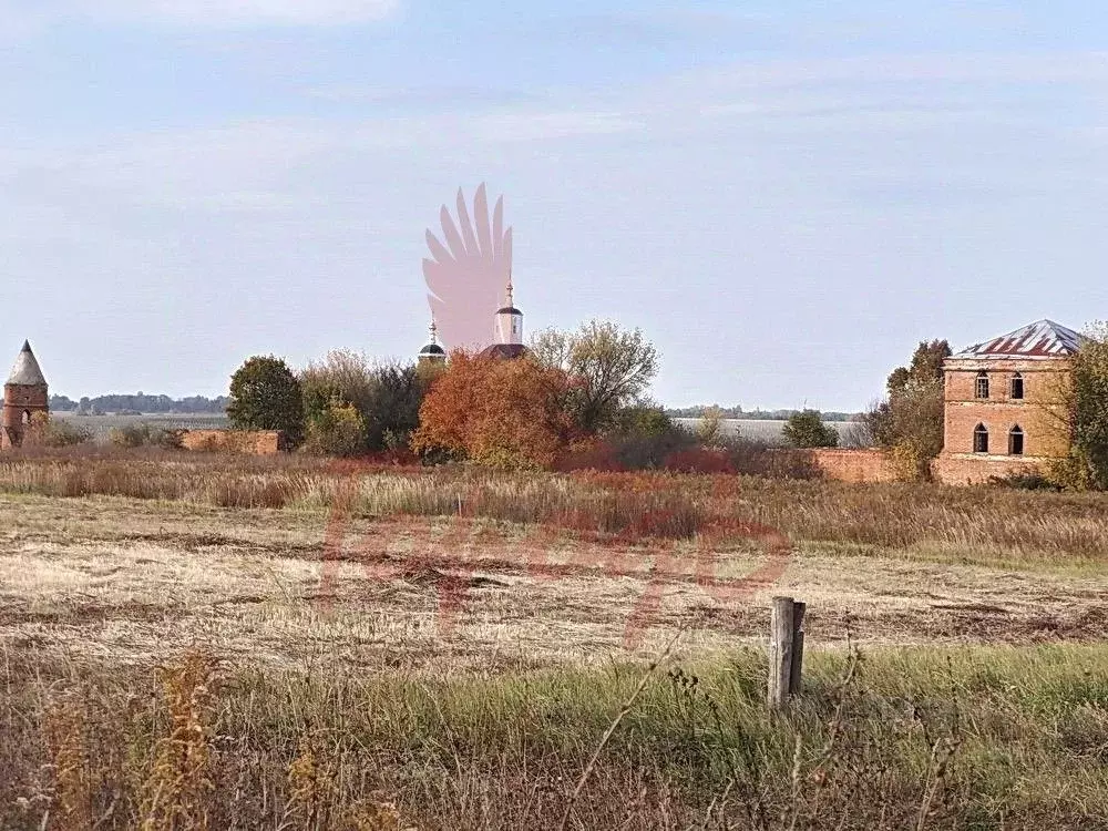 Участок в Орловская область, Орловский район, с. Сабурово ул. ... - Фото 1