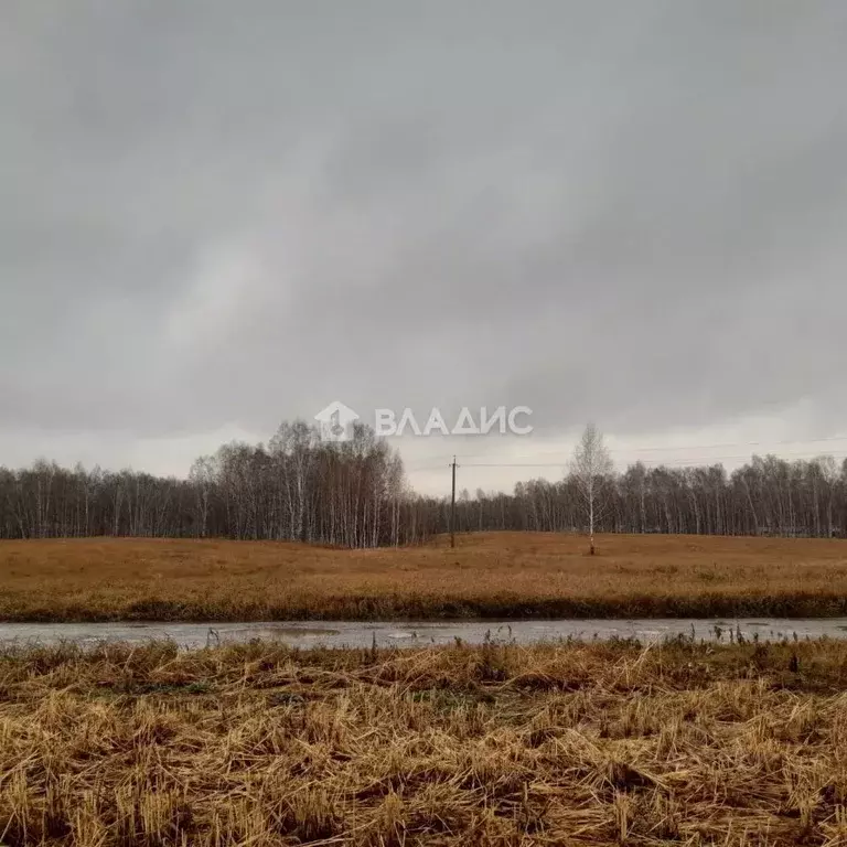 Участок в Новосибирская область, Новосибирский район, Ярковский ... - Фото 0