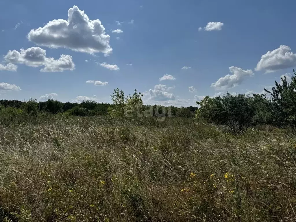 Участок в Белгородская область, Белгородский район, Комсомольское ... - Фото 0