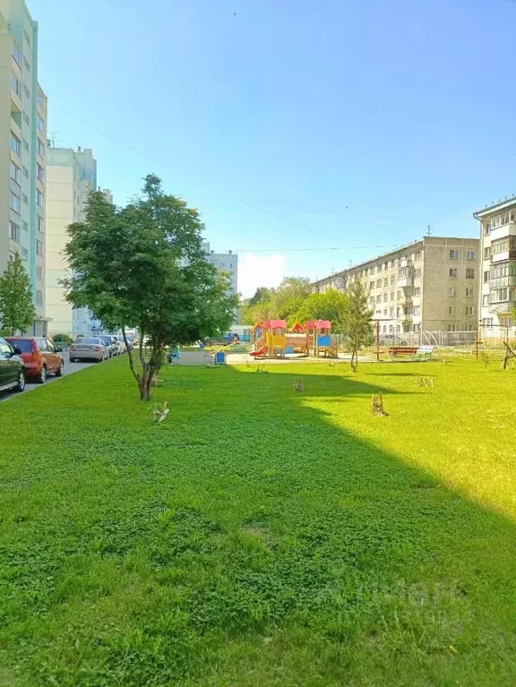3-к кв. Новосибирская область, Новосибирск ул. Динамовцев, 17 (74.1 м) - Фото 0