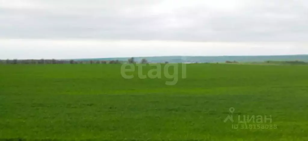 Участок в Крым, Ленинский район, Семисотское с/пос, с. Каменское ул. ... - Фото 1