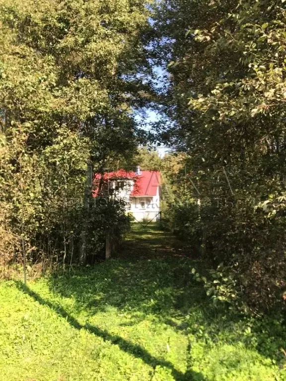 Дом в Ленинградская область, Выборгский район, Полянское с/пос, пос. ... - Фото 2