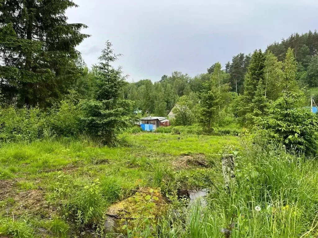 Участок в Ленинградская область, Приозерский район, Сосновское с/пос, ... - Фото 1