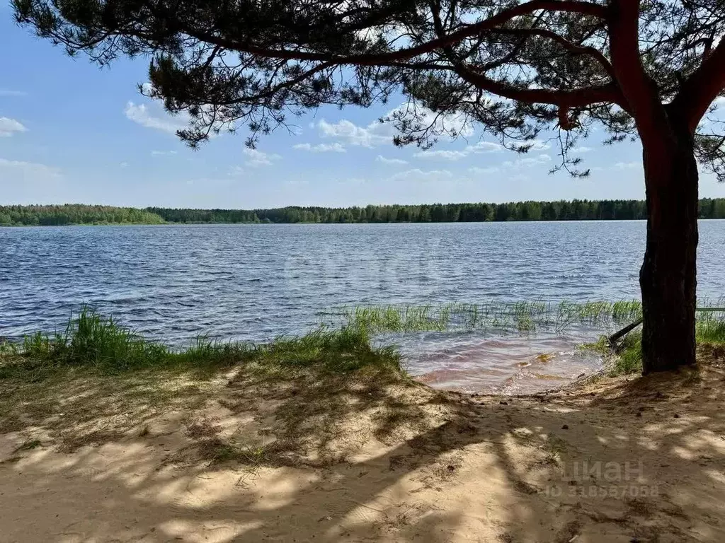 Участок в Московская область, Клин городской округ, д. Владимировка ... - Фото 0