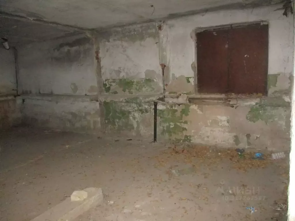 Помещение свободного назначения в Новосибирская область, Новосибирск ... - Фото 1