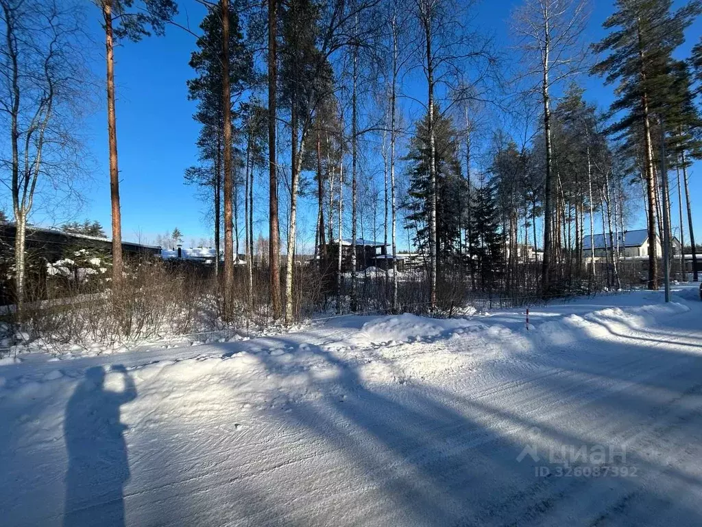 Участок в Ленинградская область, Выборгский район, Первомайское с/пос, ... - Фото 2