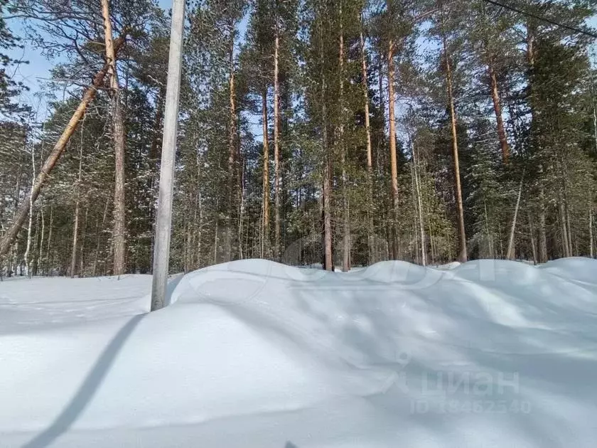 Участок в Ханты-Мансийский АО, Сургут Маяк СНТ, ул. Соркутская (9.0 ... - Фото 1