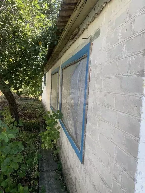 Дом в Белгородская область, Вейделевский район, с. Кубраки ул. ... - Фото 1