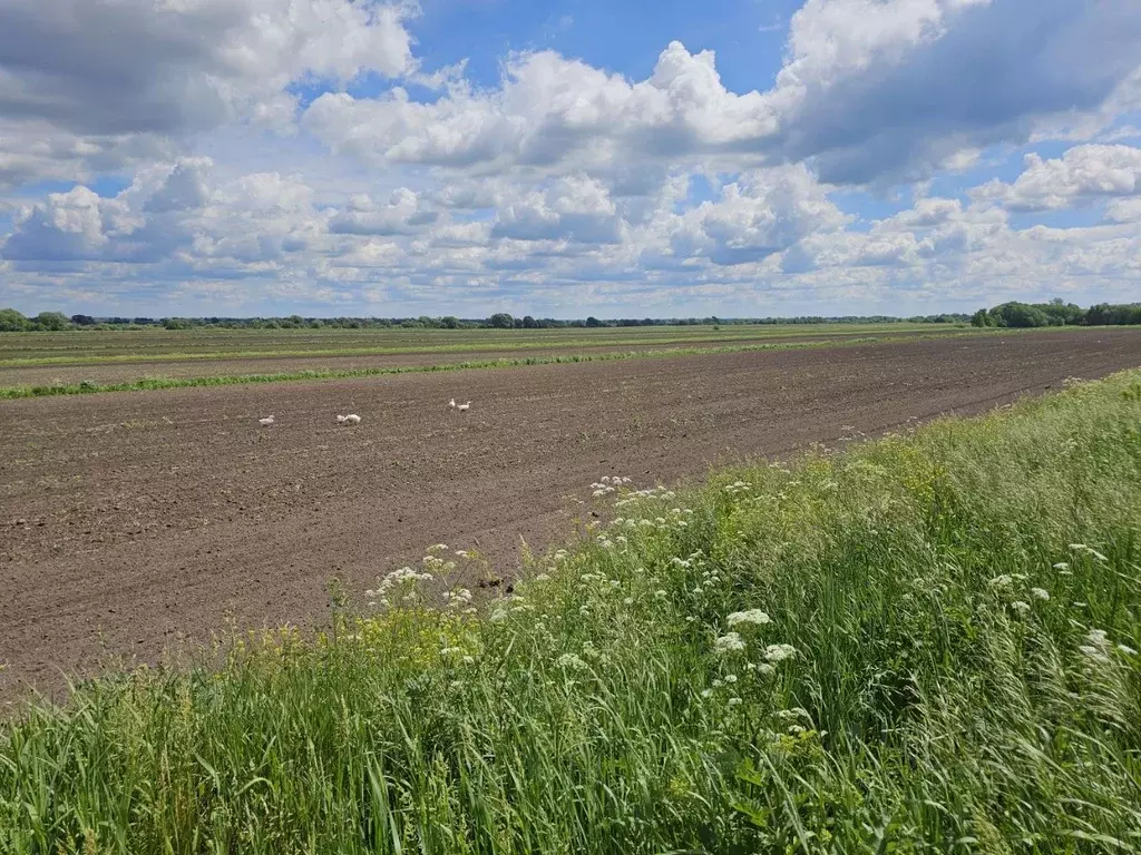 Участок в Московская область, Луховицы муниципальный округ, д. ... - Фото 2