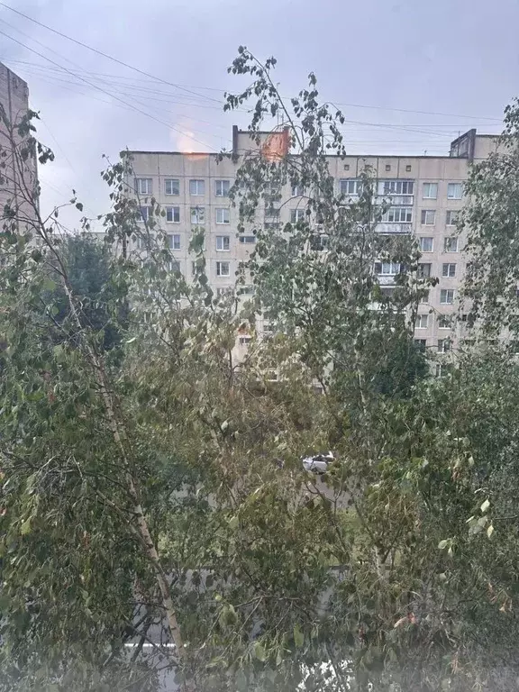 2-к кв. Санкт-Петербург Сиреневый бул., 8К1 (44.0 м) - Фото 1