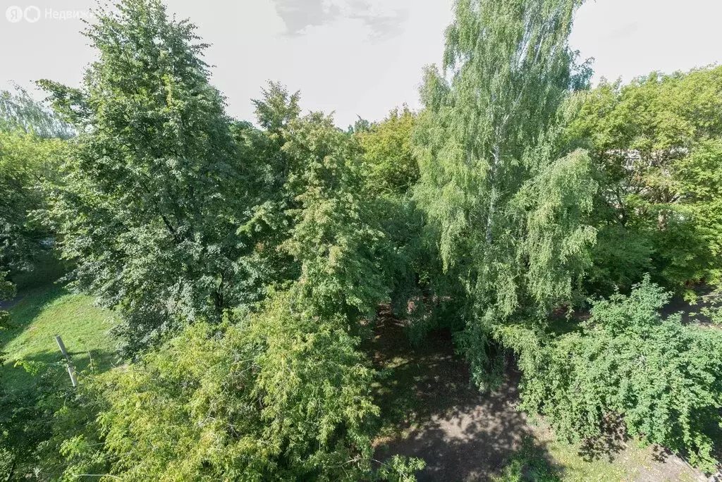 1-комнатная квартира: Саранск, улица Розы Люксембург, 24 (31 м) - Фото 1