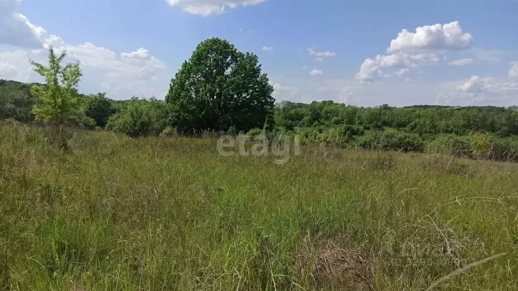 Участок в Белгородская область, Белгородский муниципальный округ, ... - Фото 1