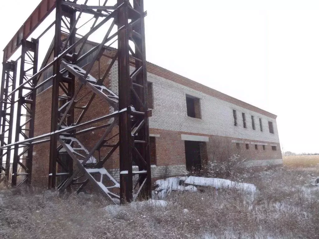 Помещение свободного назначения в Новосибирская область, Татарск ... - Фото 1