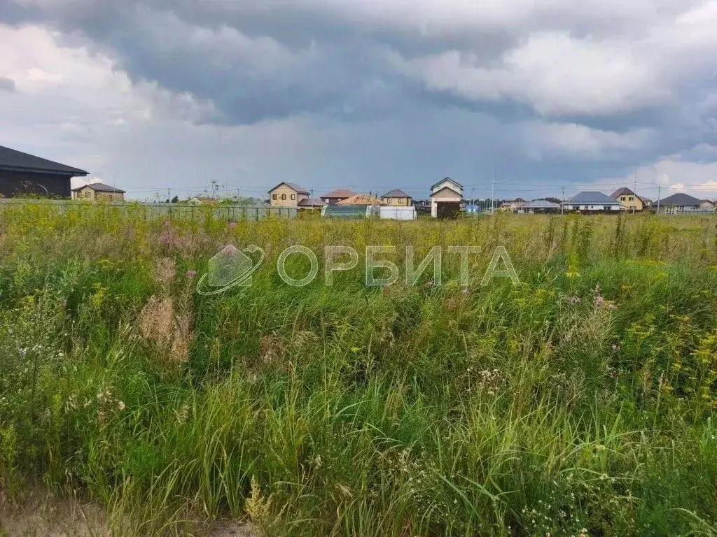 Участок в Тюменская область, Тюменский муниципальный округ, д. ... - Фото 2
