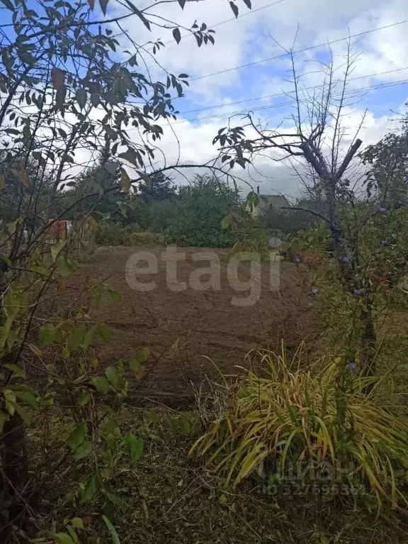 Участок в Калининградская область, Калининград Мелиоратор СНТ, ул. ... - Фото 1