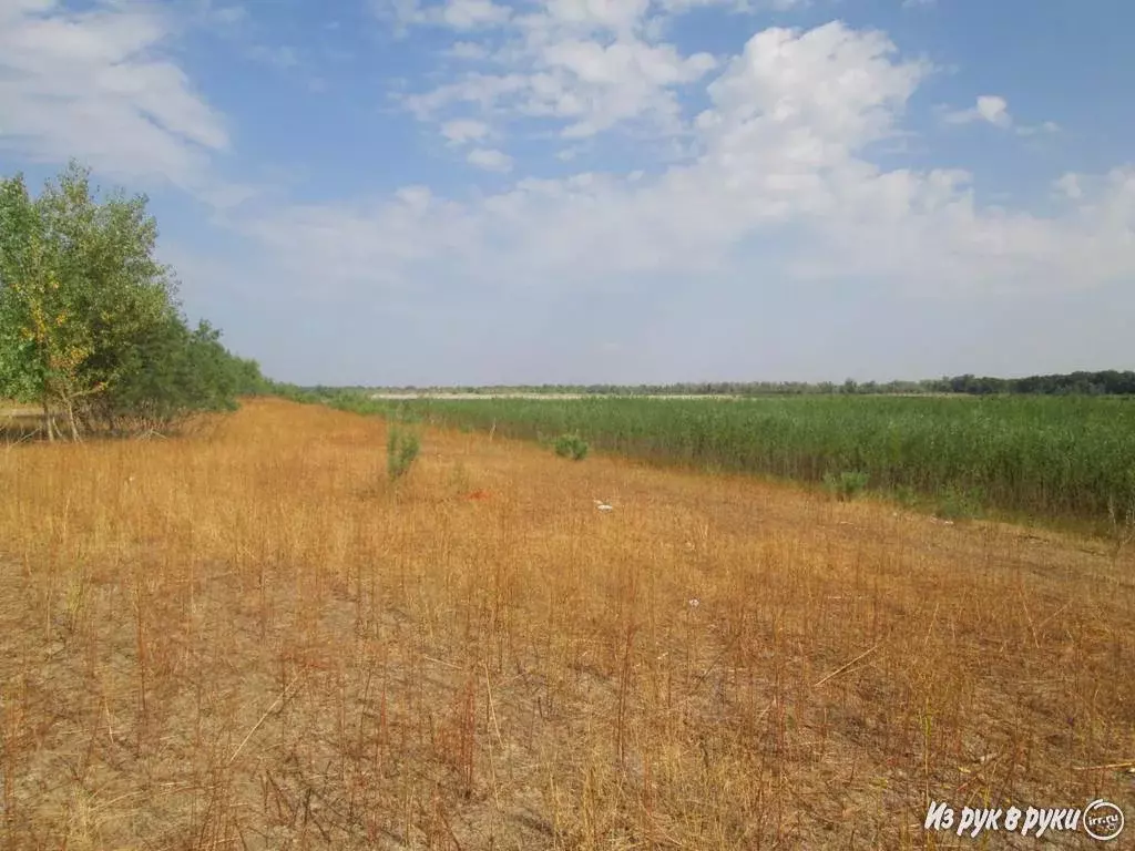 Станица черноярская астраханская. Копановка астраханская область храм. Погода пришиб рп5 астраханская область. Село пришиб астраханская область. Погода пришиб рп5 астраханская область.