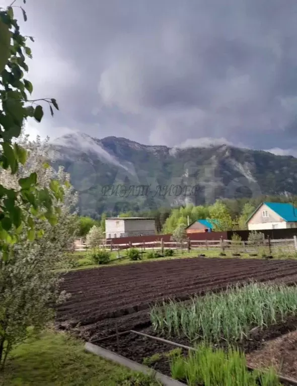 Дом в Алтай, Майминский район, с. Усть-Муны пер. Кленовый (48 м) - Фото 1