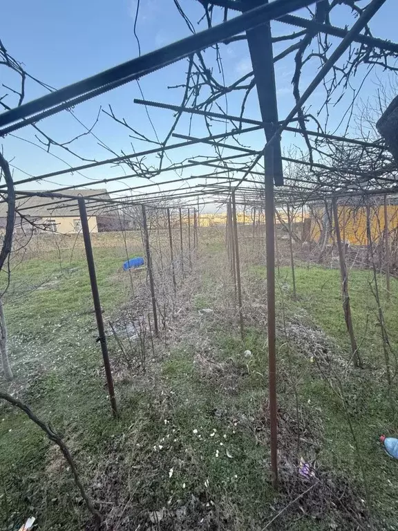 Участок в Дагестан, Махачкала городской округ, Кяхулай пгт ул. ... - Фото 1