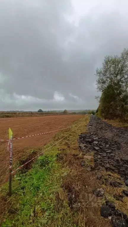 Участок в Москва пос. Рогово, ул. Заречная, 47Б (6.0 сот.) - Фото 2