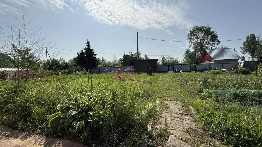 Участок в Кировская область, Кирово-Чепецкий район, Пасеговское с/пос, ... - Фото 1