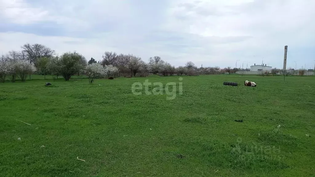 Участок в Краснодарский край, Ейский район, Камышеватская ст-ца  (20.0 ... - Фото 1