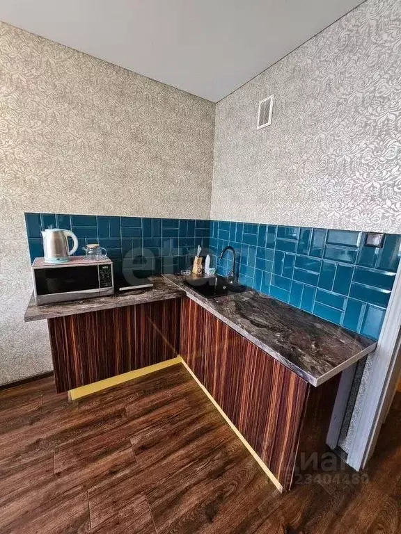 1-к кв. Новосибирская область, Новосибирск ул. Гоголя, 44 (50.0 м) - Фото 2