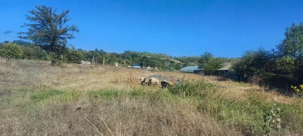 Участок в Краснодарский край, Лабинский район, Владимирская ст-ца ... - Фото 1