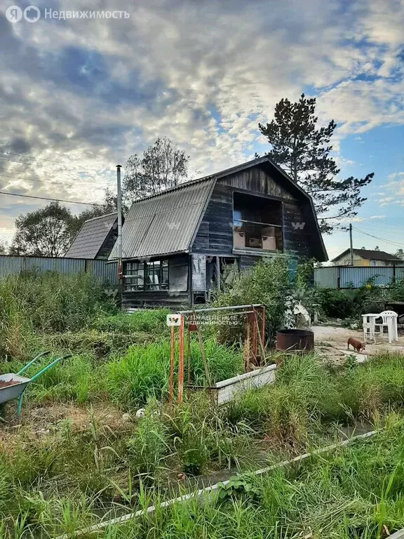 участок в южно-сахалинск, садоводческое некоммерческое товарищество . - Фото 1