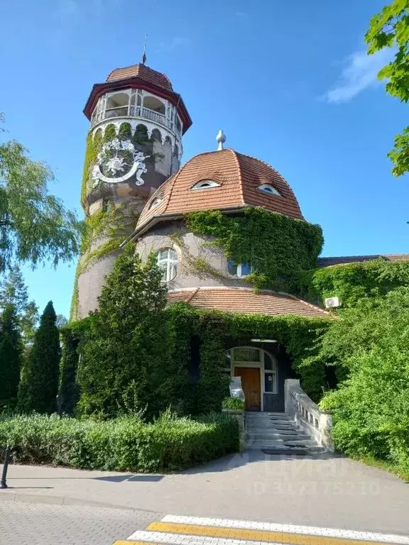 2-к кв. Калининградская область, Светлогорск ул. Горького, 11 (45.0 м) - Фото 0