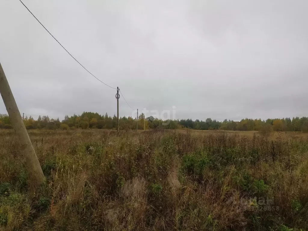 Участок в Вологодская область, Шекснинский муниципальный округ, д. ... - Фото 1