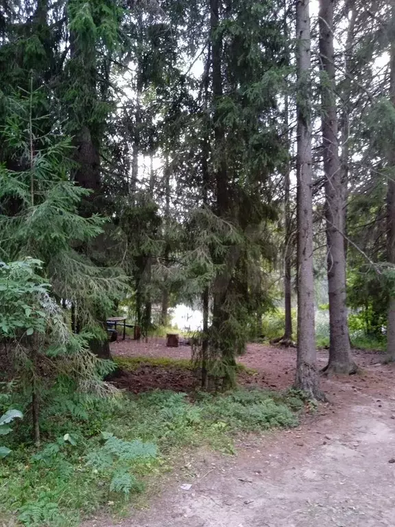 Участок 70 га (СНТ, ДНП) - Фото 0