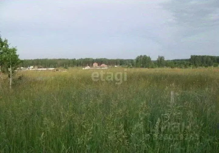 Участок в Челябинская область, Сосновский муниципальный округ, пос. ... - Фото 1