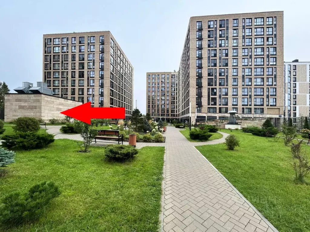 Помещение свободного назначения в Санкт-Петербург Лиговский просп., ... - Фото 1