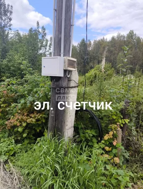 Участок в Челябинская область, Миасс Строитель-2 СНТ, 600 (7.0 сот.) - Фото 2