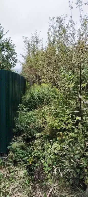 Участок в Ленинградская область, Кировский район, Путиловское с/пос, ... - Фото 2