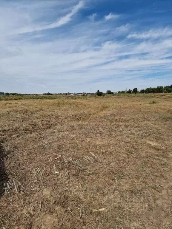 участок в волгоградская область, городищенский район, с. карповка . - Фото 0