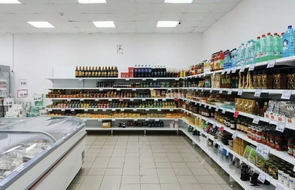 Торговая площадь в Санкт-Петербург Будапештская ул., 53 (194 м) - Фото 2