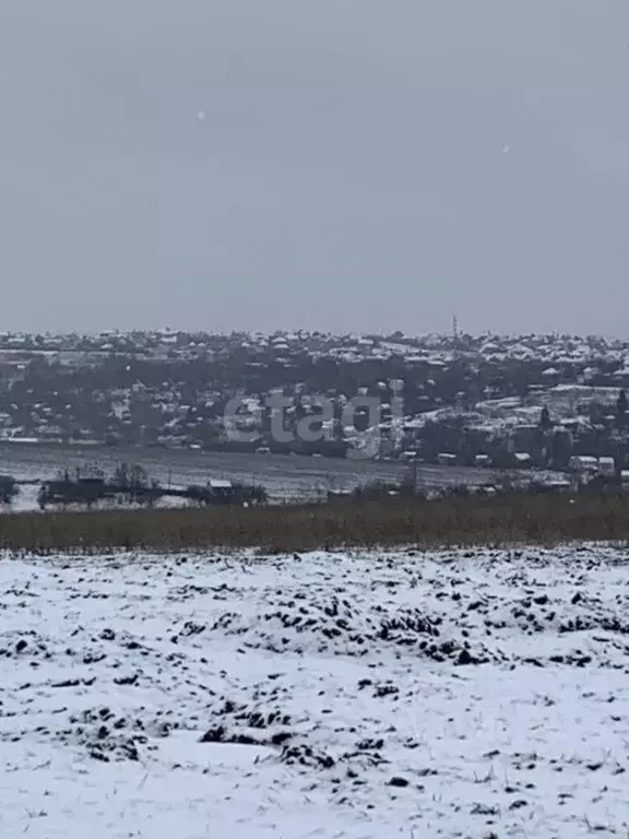 Участок в Белгородская область, Белгородский район, Головинское с/пос, ... - Фото 2