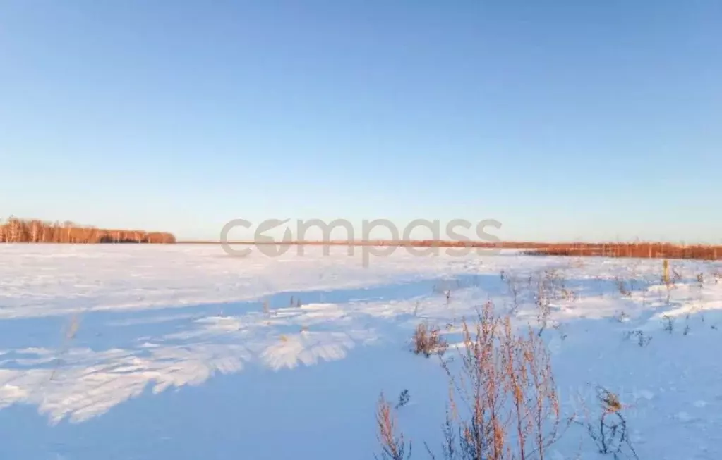 Участок в Тюменская область, Тюменский район, с. Горьковка Сибирская ... - Фото 1