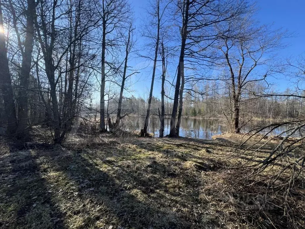 Участок в Ленинградская область, Приозерский район, Мельниковское ... - Фото 1