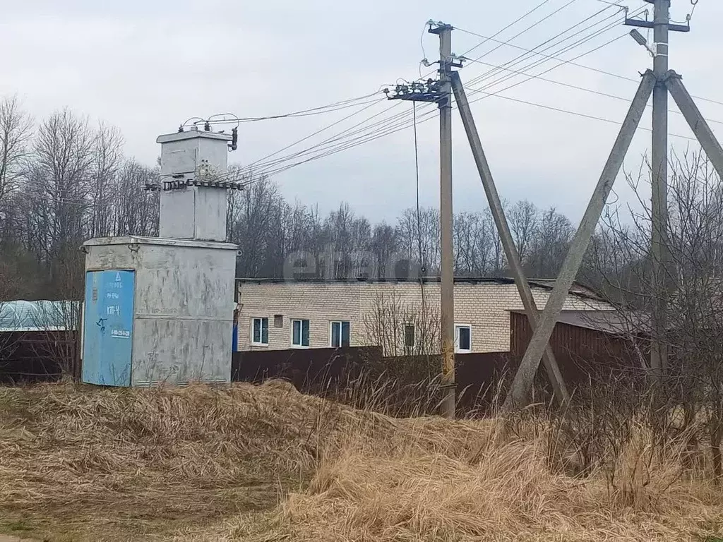 Склад в Псковская область, Пустошка Вокзальная ул., 38 (5690 м) - Фото 1