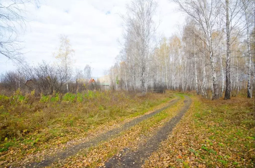 Участок в Заводоуковск, Первомайская улица (5 м) - Фото 1