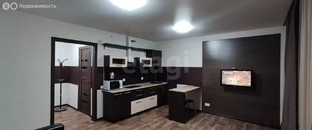 Квартира-студия: Тюмень, Тихий проезд, 6 (29.5 м) - Фото 2