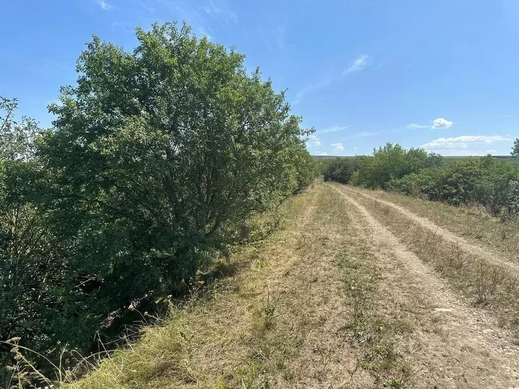 Участок в Краснодарский край, Анапа муниципальный округ, пос. Уташ ул. ... - Фото 2