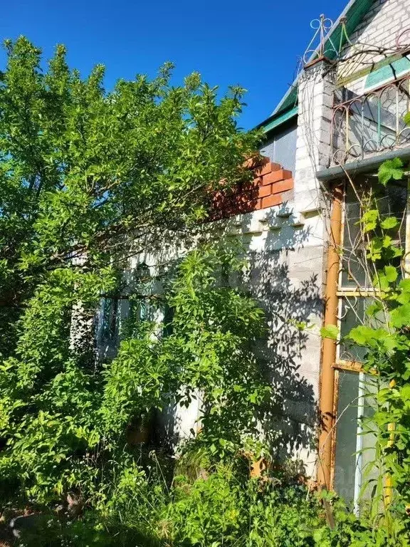 Дом в Липецкая область, Липецк Желтые пески СНТ,  (51 м) - Фото 1