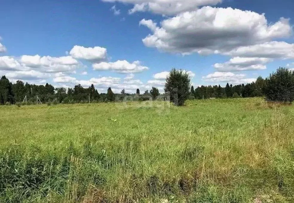 Участок в Кировская область, Кирово-Чепецкий район, Кстининское с/пос, ... - Фото 2