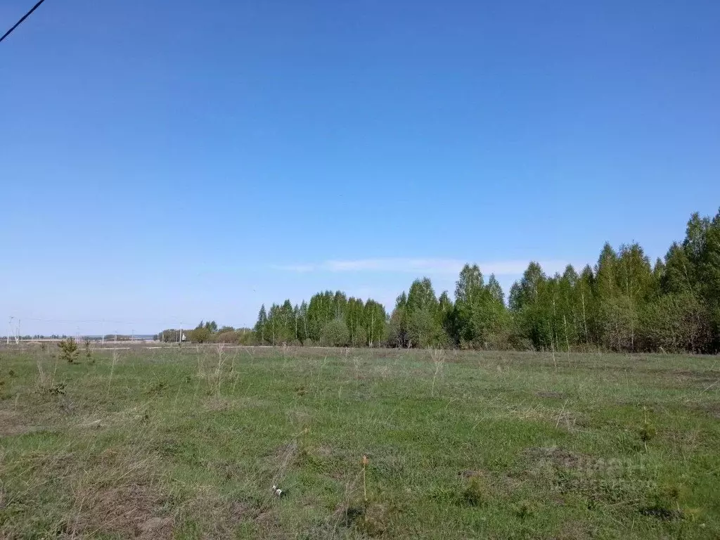 Участок в Татарстан, Лаишевский район, Егорьевское с/пос, д. Зимняя ... - Фото 1